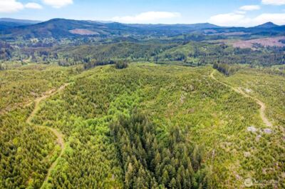 4 Parpala Road #4, Naselle, WA 98638 - Photo 2