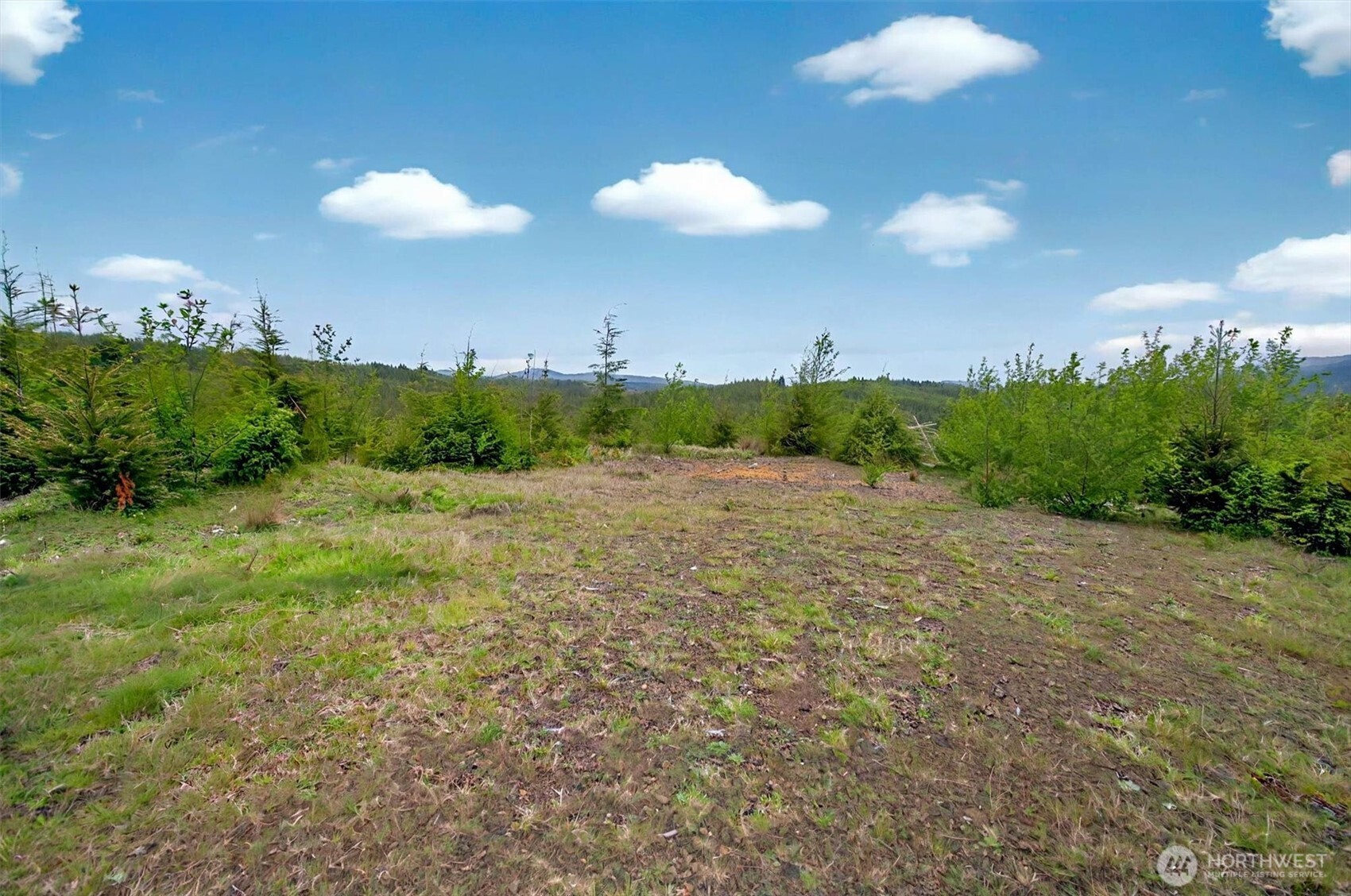 4 Parpala Road #4, Naselle, WA 98638