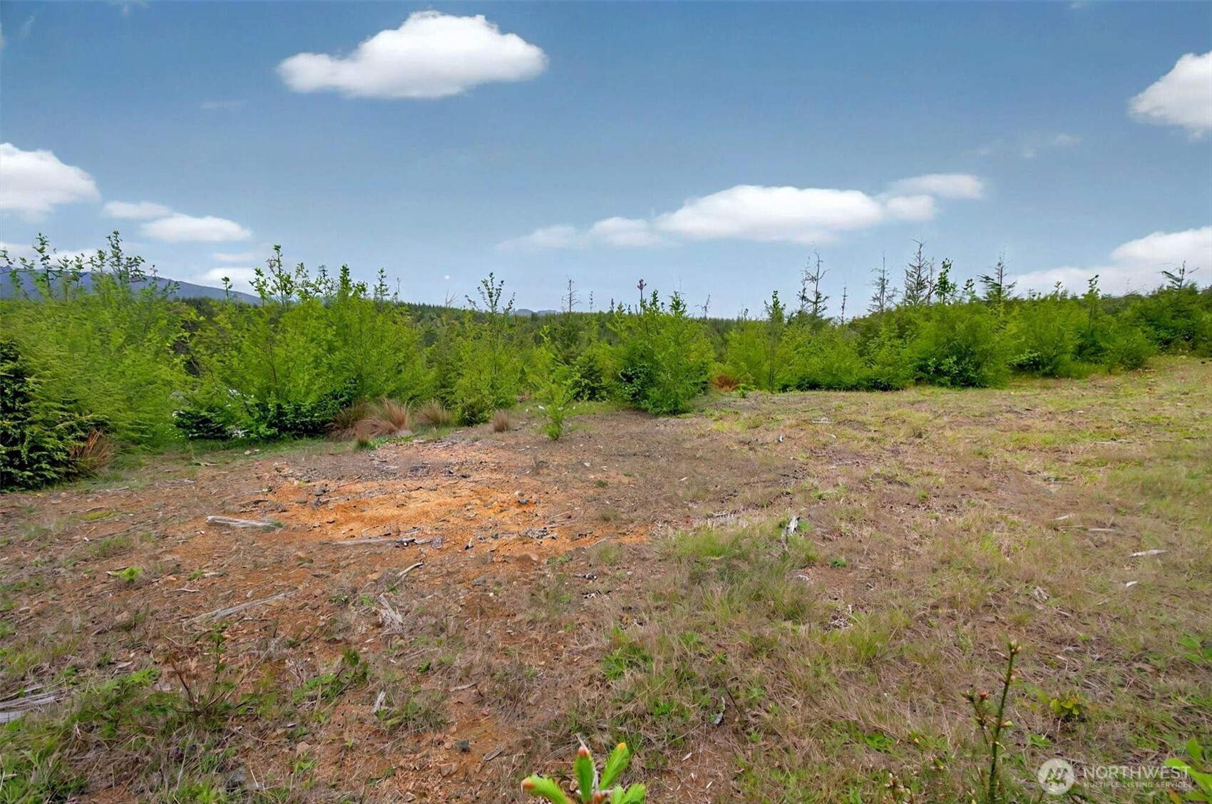 4 Parpala Road #4, Naselle, WA 98638