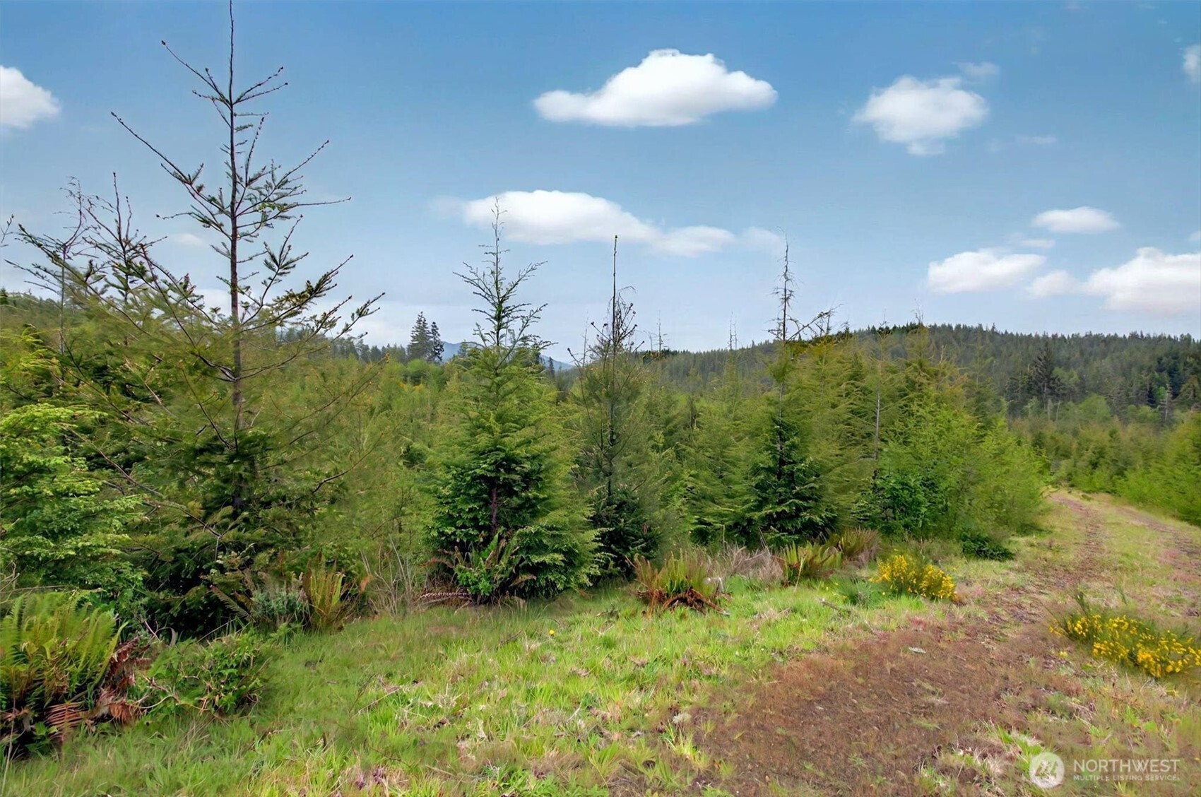 1 Parpala Road #1, Naselle, WA 98638