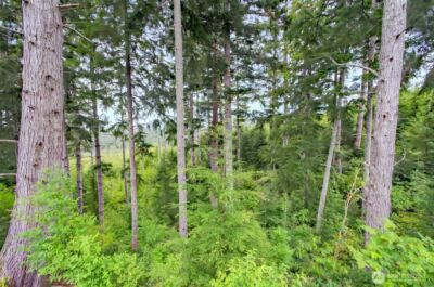 1 Parpala Road #1, Naselle, WA 98638 - Photo 4