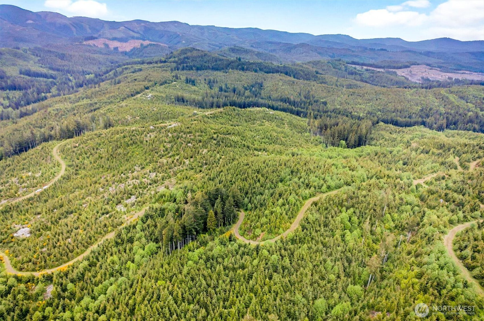 1 Parpala Road #1, Naselle, WA 98638