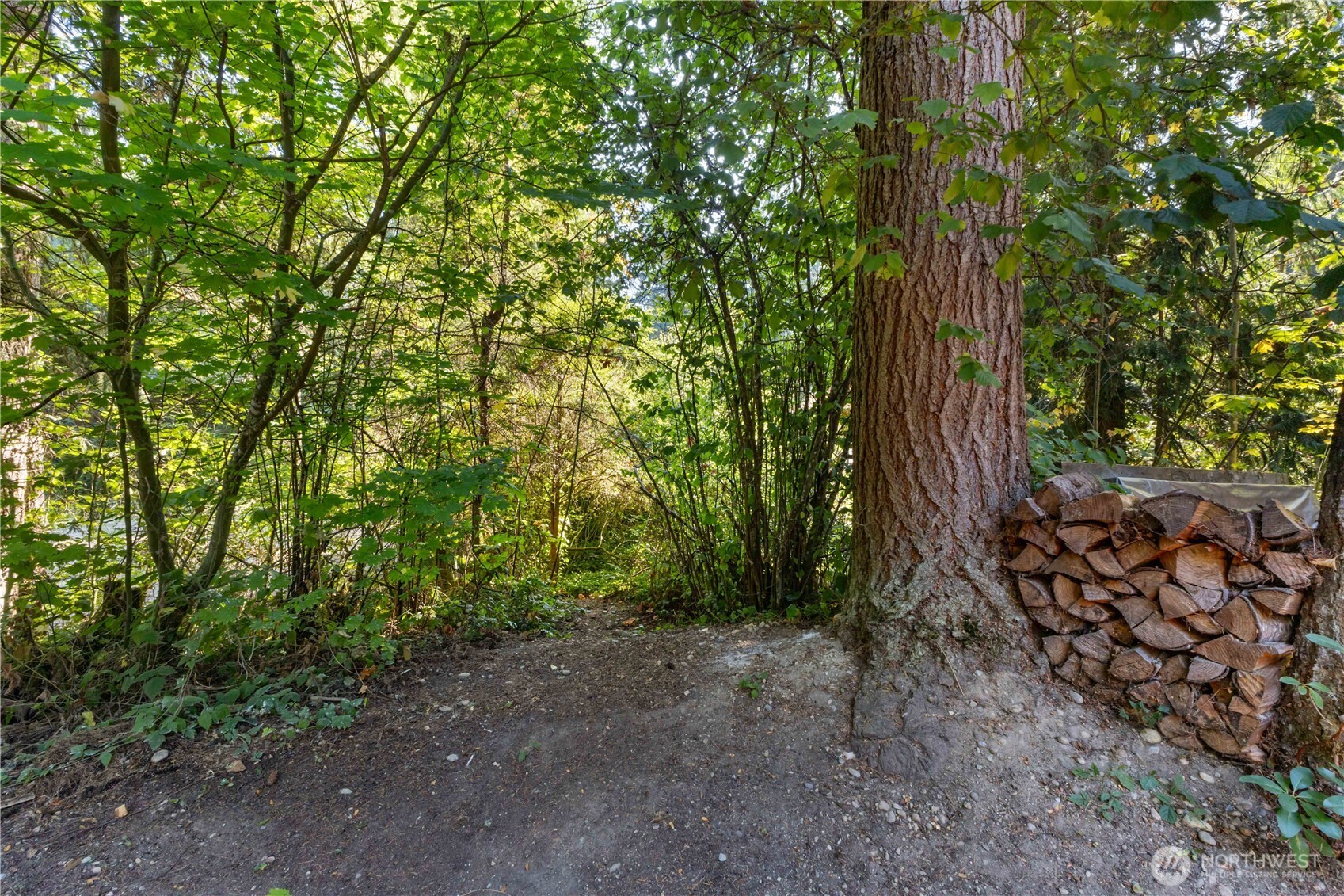 17738 N Beachside Drive SE, Yelm, WA 98597