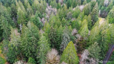 2902 136th Street NW, Gig Harbor, WA 98332 - Photo 1