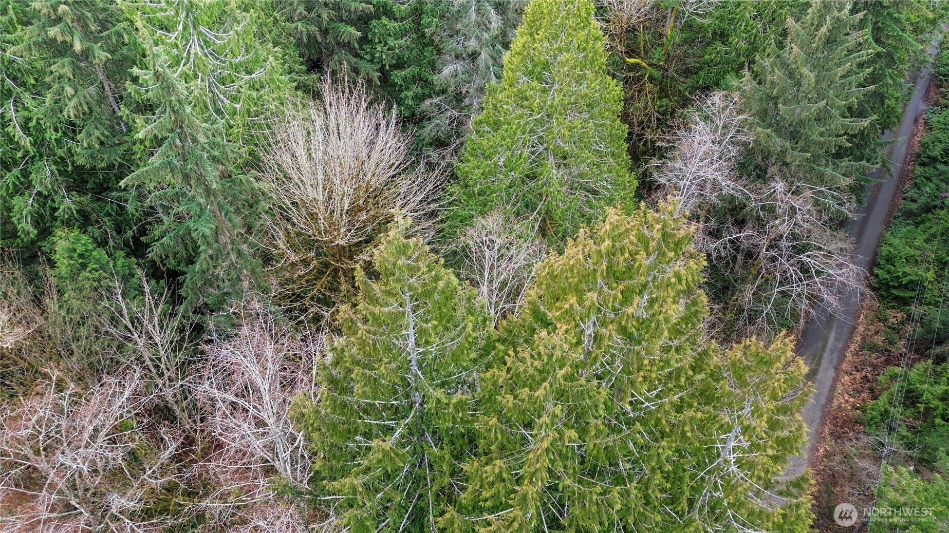 2902 136th Street NW, Gig Harbor, WA 98332