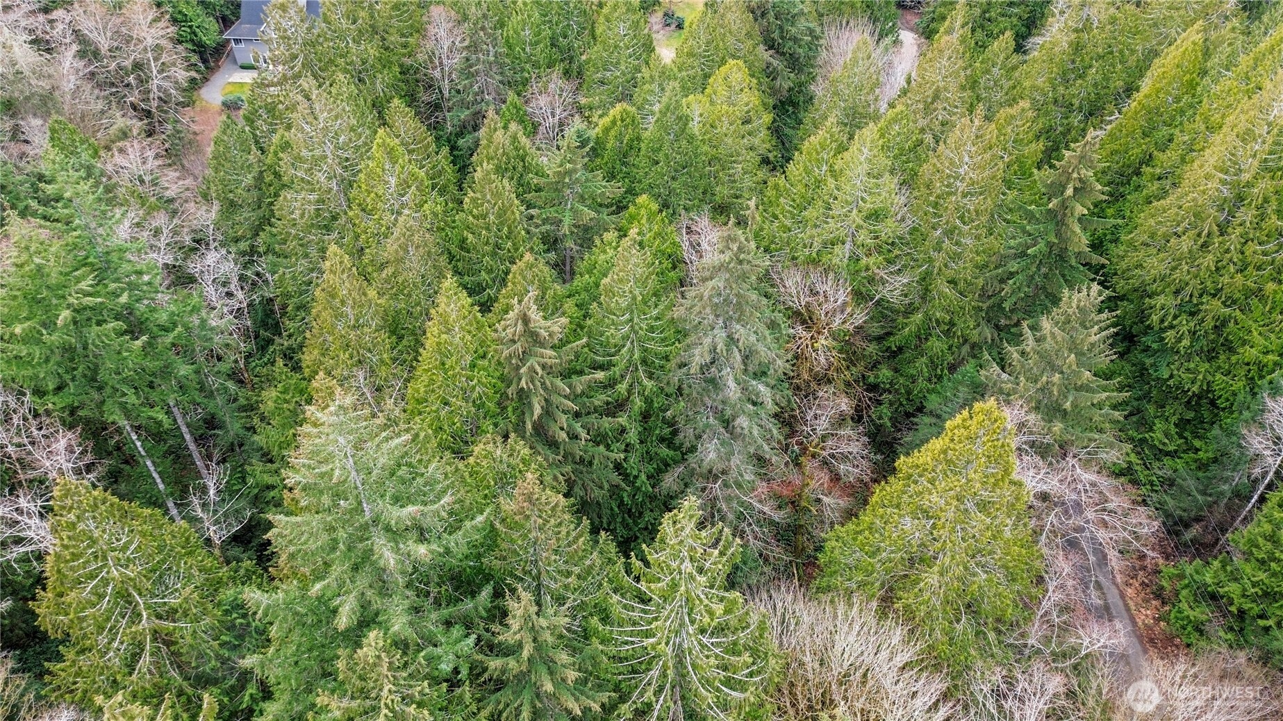 2902 136th Street NW, Gig Harbor, WA 98332