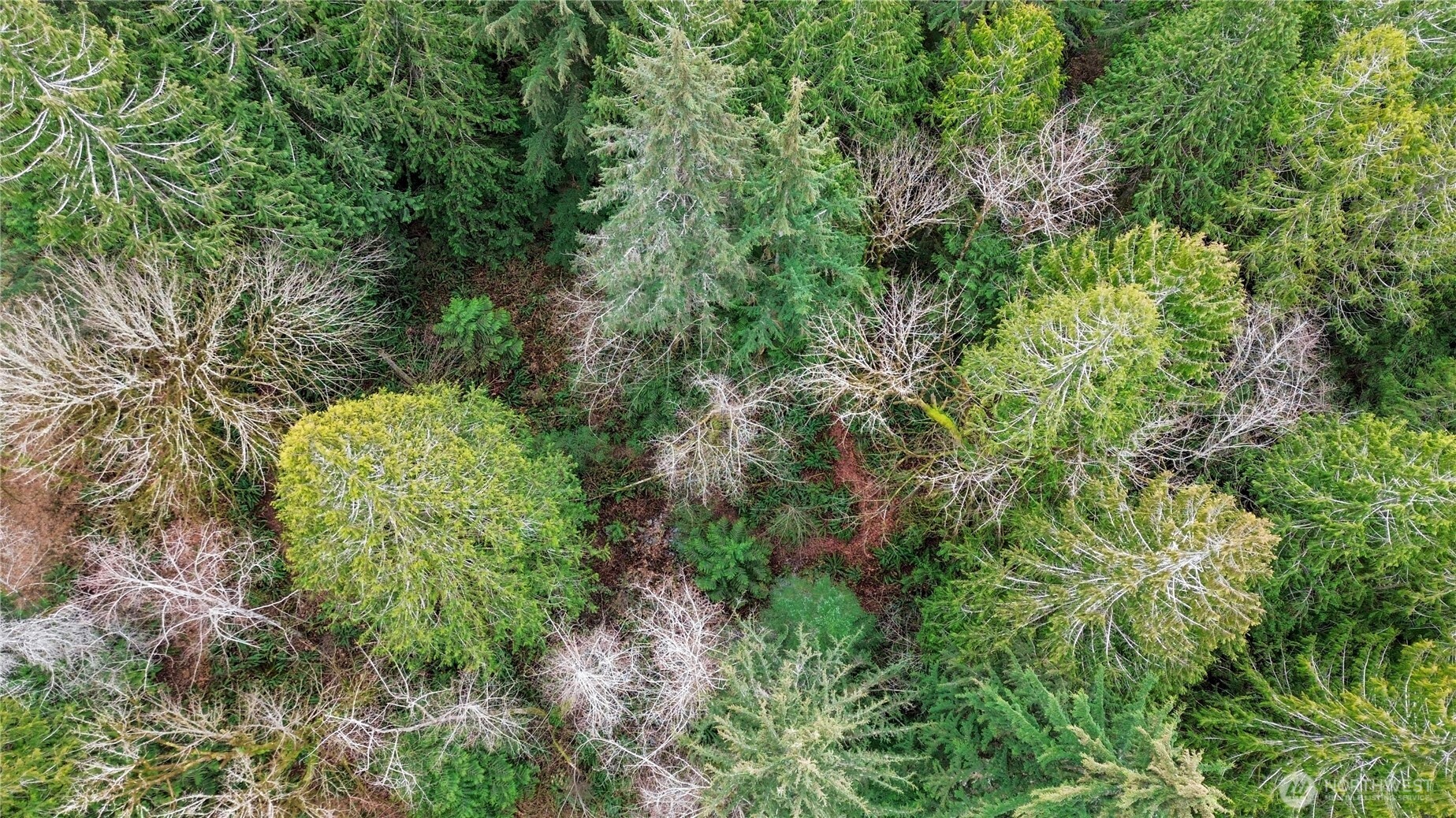 2902 136th Street NW, Gig Harbor, WA 98332