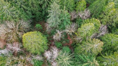 2902 136th Street NW, Gig Harbor, WA 98332 - Photo 13