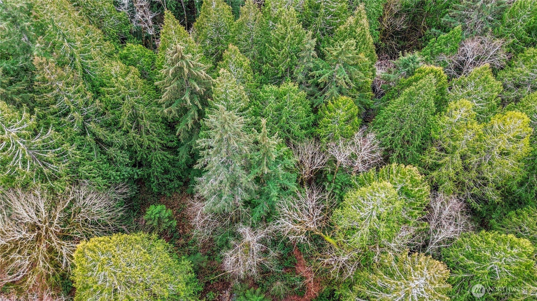 2902 136th Street NW, Gig Harbor, WA 98332