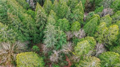 2902 136th Street NW, Gig Harbor, WA 98332 - Photo 14