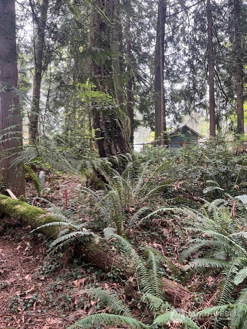 2902 136th Street NW, Gig Harbor, WA 98332