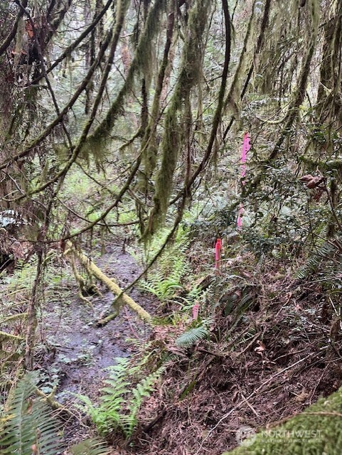 2902 136th Street NW, Gig Harbor, WA 98332