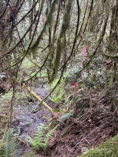 2902 136th Street NW, Gig Harbor, WA 98332 - Photo 5