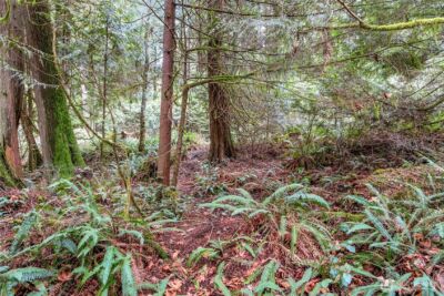 2902 136th Street NW, Gig Harbor, WA 98332 - Photo 6