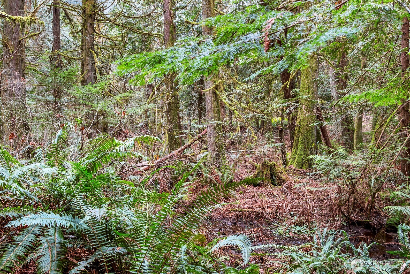 2902 136th Street NW, Gig Harbor, WA 98332