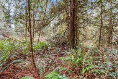 2902 136th Street NW, Gig Harbor, WA 98332 - Photo 8