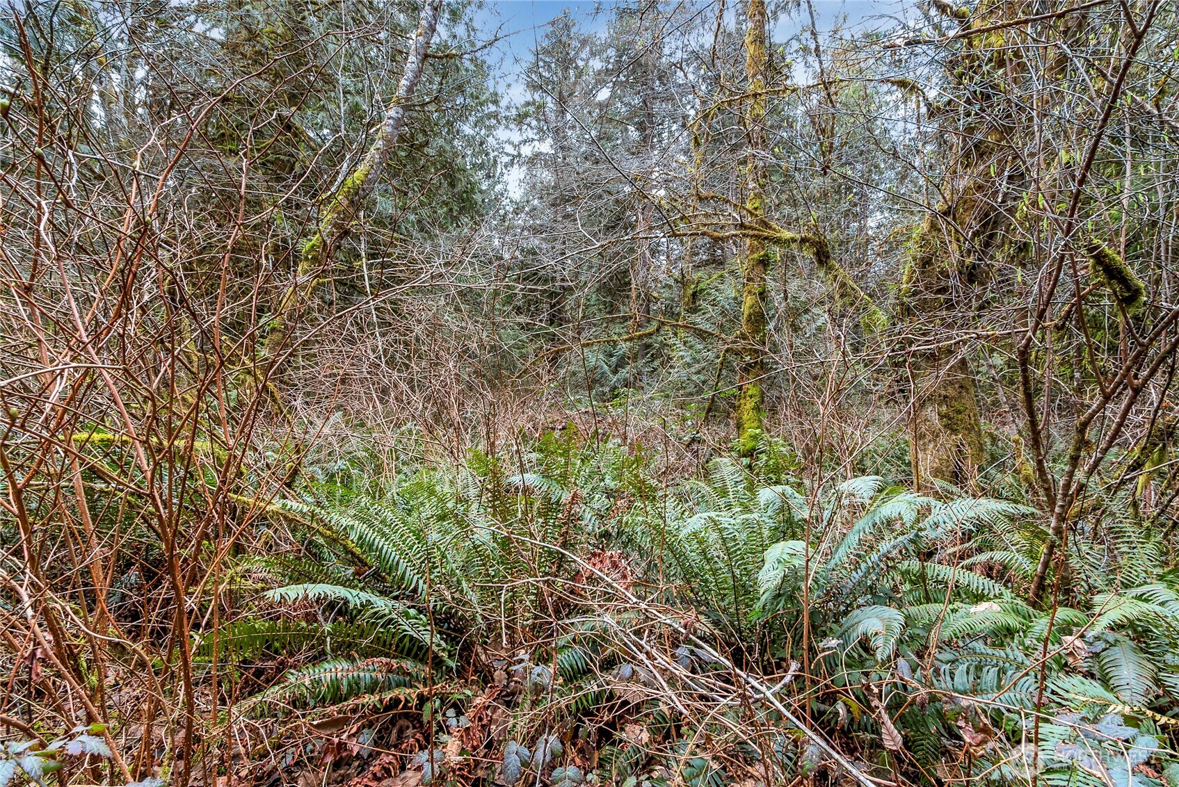 2902 136th Street NW, Gig Harbor, WA 98332