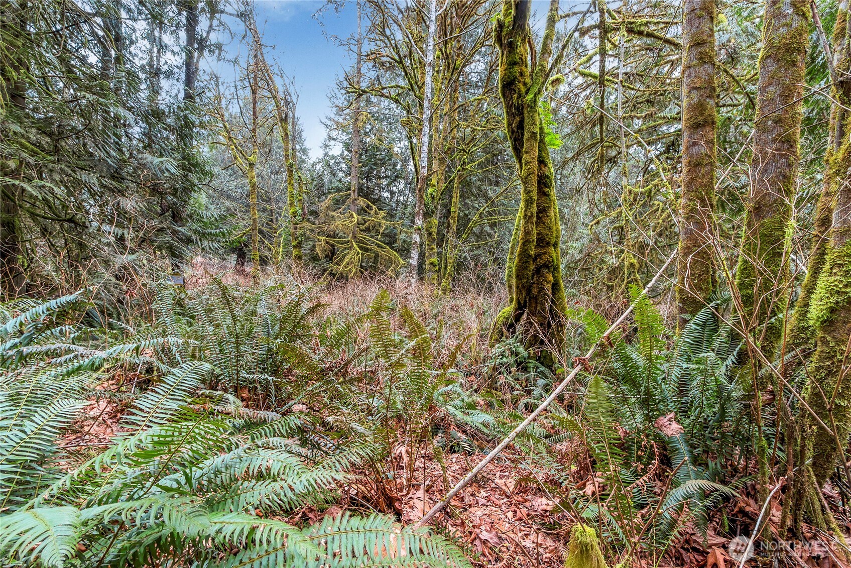 2902 136th Street NW, Gig Harbor, WA 98332