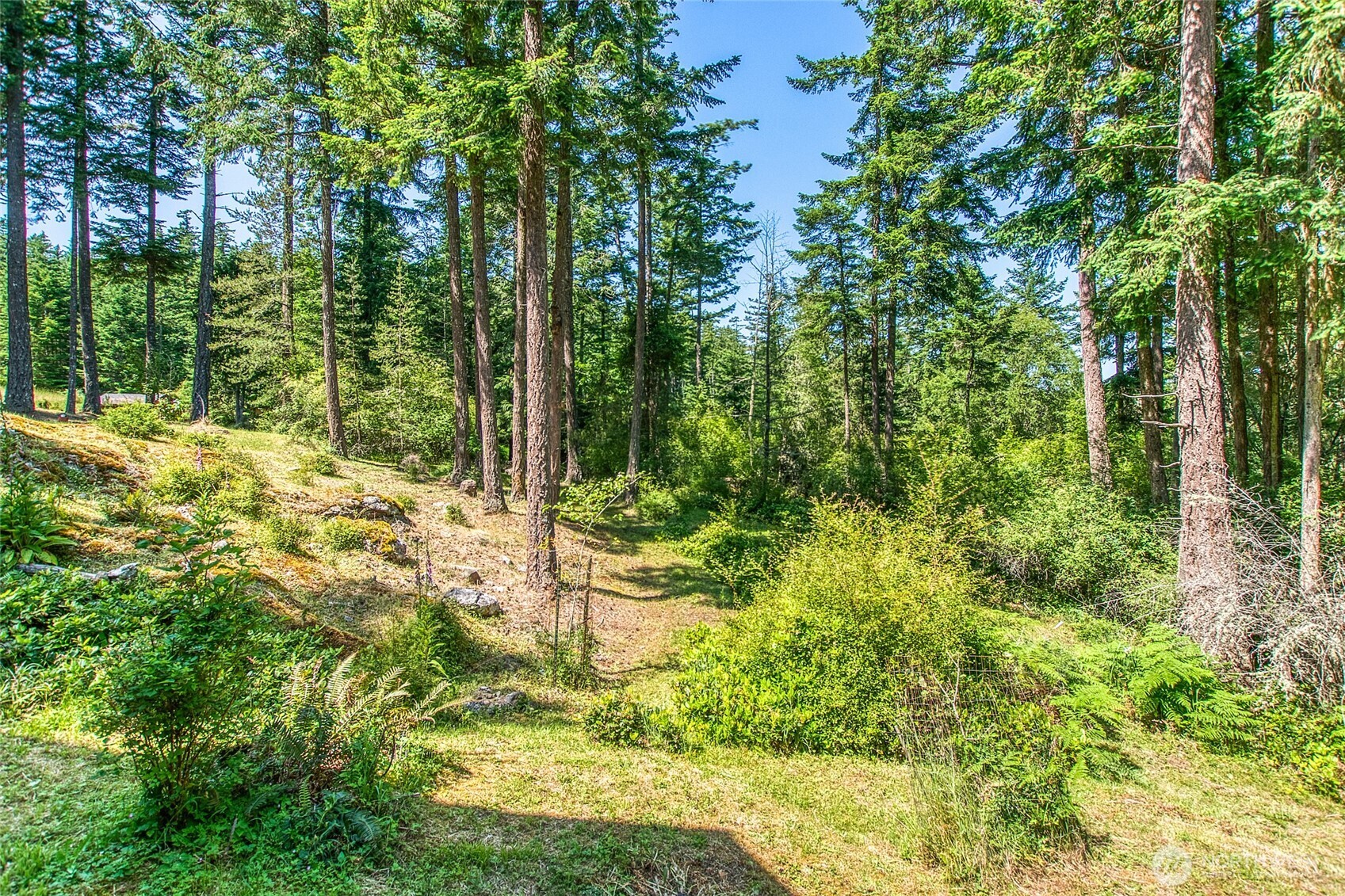 87 Levon Lane , Orcas Island, WA 98243