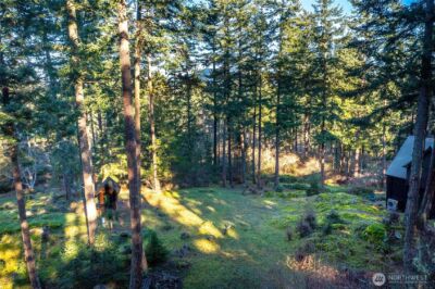 87 Levon Lane , Orcas Island, WA 98243 - Photo 3