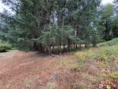 0 LOT B-D SE Rose Street , Winlock, WA 98596 - Photo 13