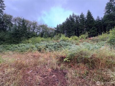 0 LOT B-D SE Rose Street , Winlock, WA 98596 - Photo 14