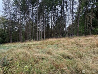 0 LOT B-D SE Rose Street , Winlock, WA 98596 - Photo 16