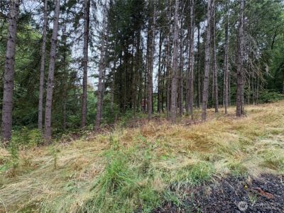 0 LOT B-D SE Rose Street , Winlock, WA 98596 - Photo 4