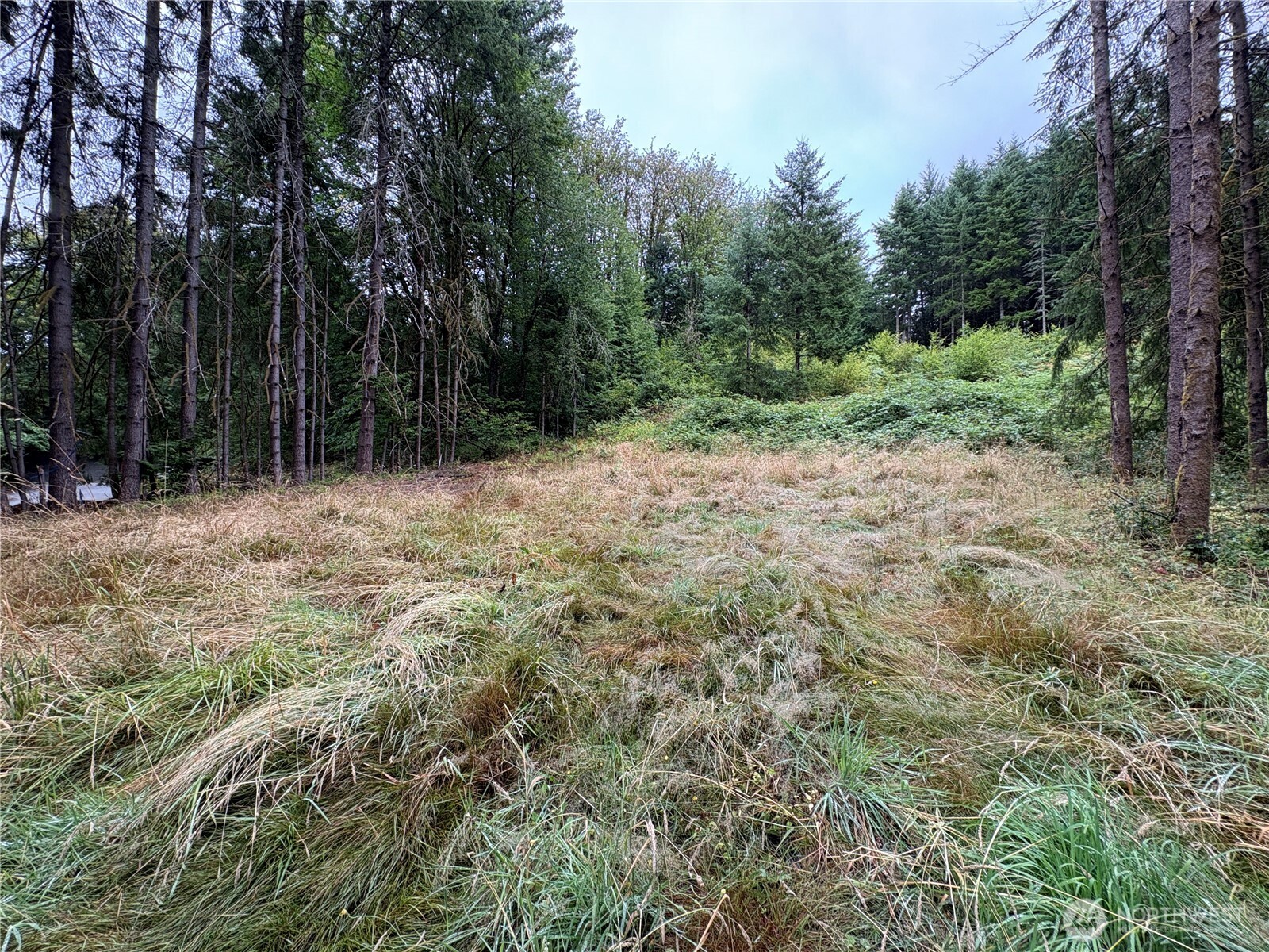 0 LOT B-D SE Rose Street , Winlock, WA 98596