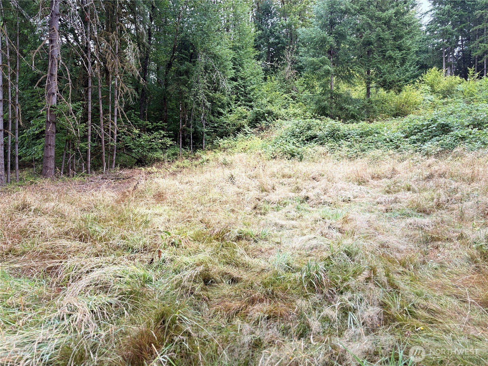 0 LOT B-D SE Rose Street , Winlock, WA 98596