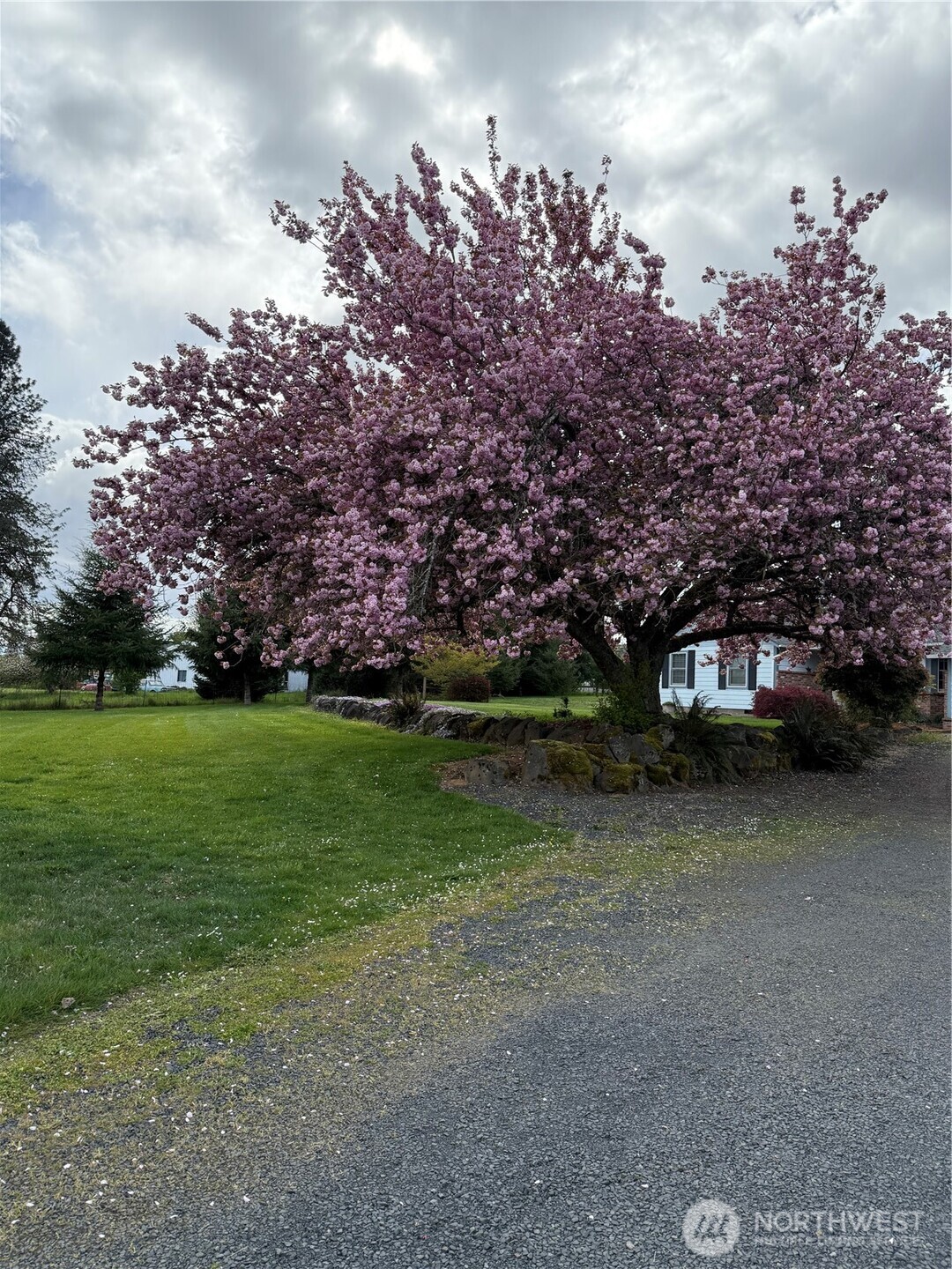 759 Nevil Road , Winlock, WA 98596