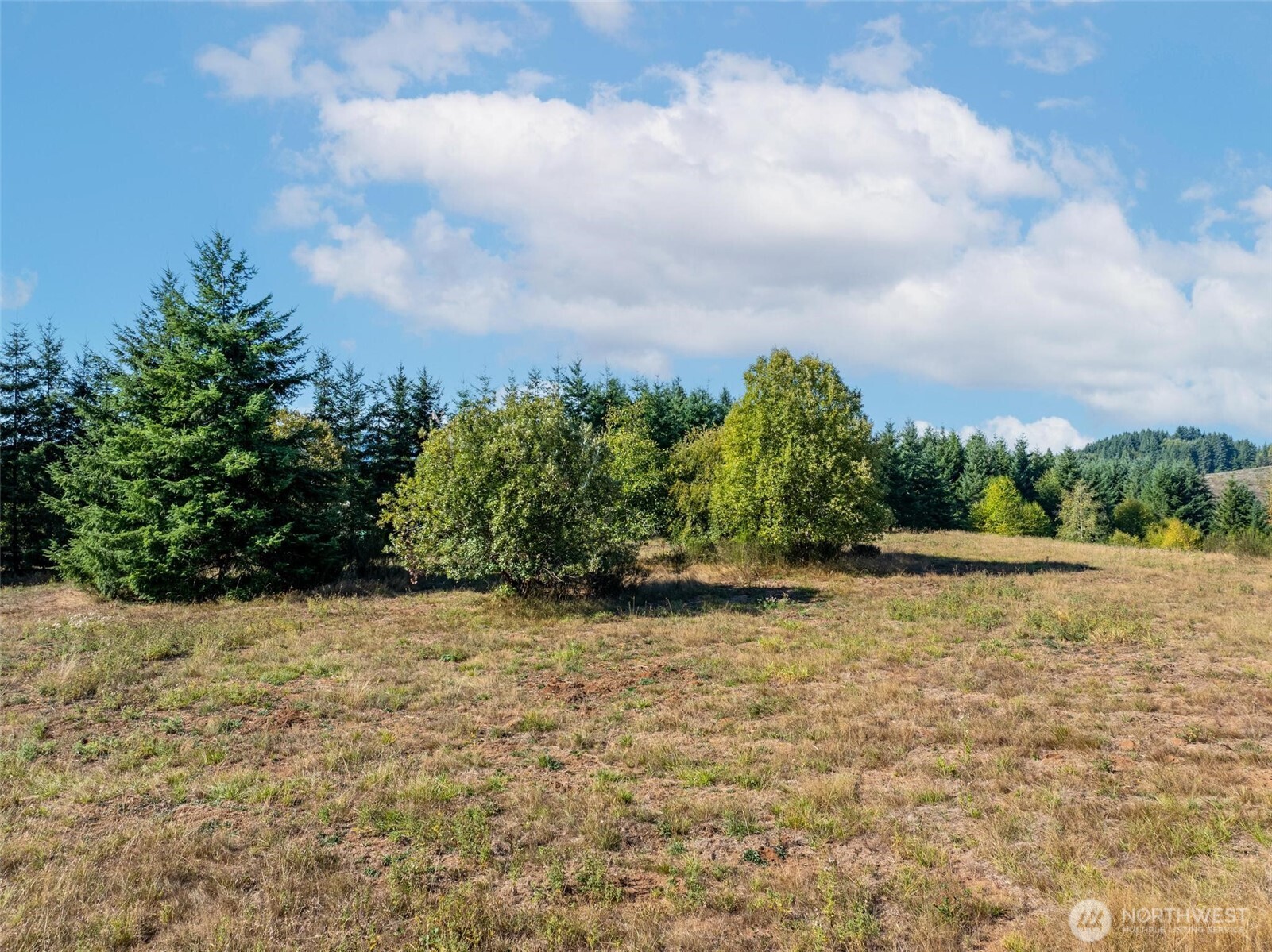 113 Red Rock Lane , Chehalis, WA 98532