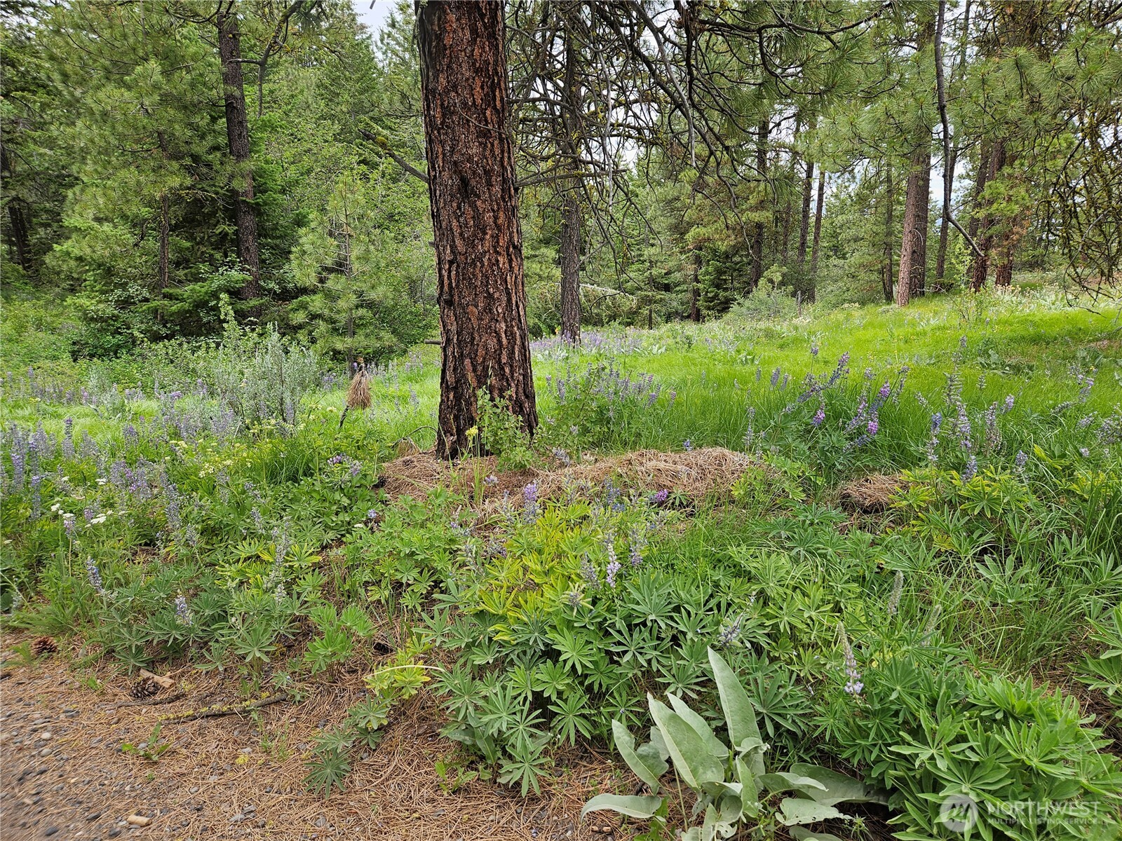 0 Muledeer Road , East Wenatchee, WA 98802