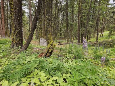 0 Muledeer Road , East Wenatchee, WA 98802 - Photo 14