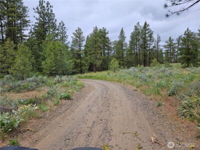 0 Muledeer Road , East Wenatchee, WA 98802 - Photo 15