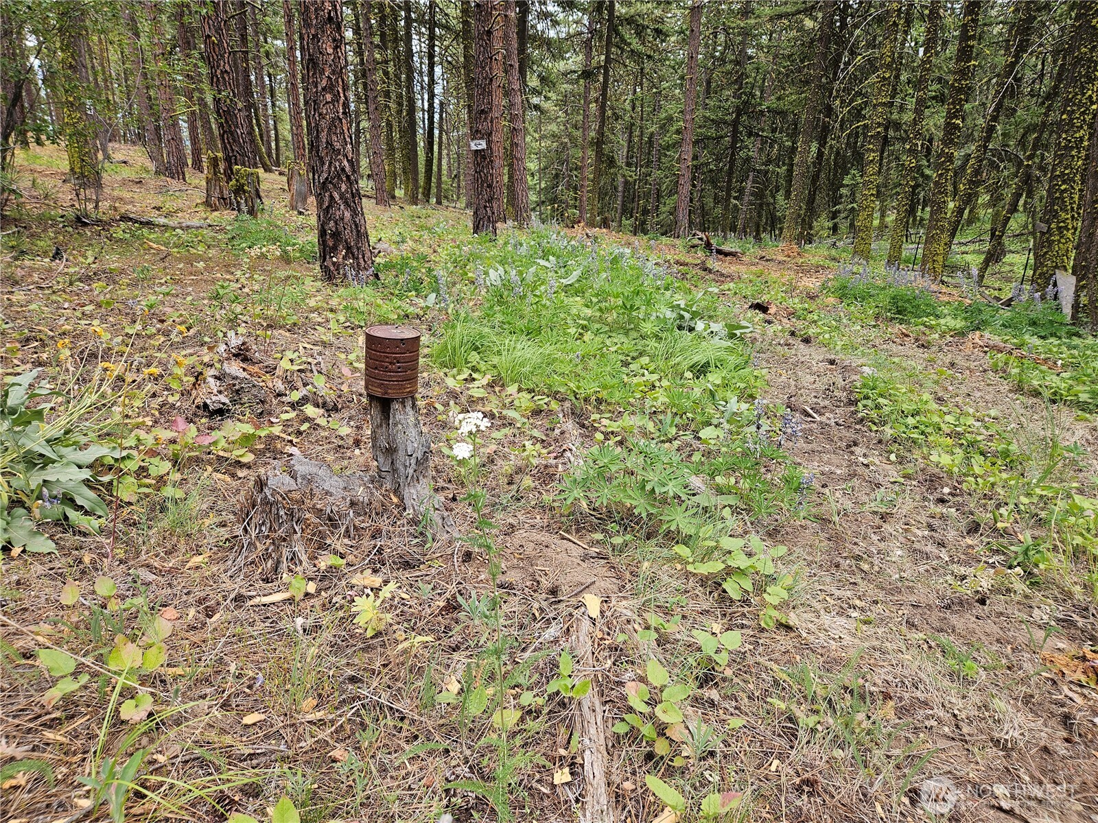 0 Muledeer Road , East Wenatchee, WA 98802