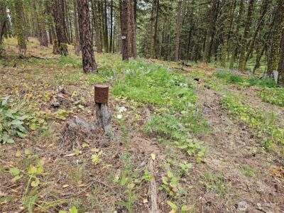 0 Muledeer Road , East Wenatchee, WA 98802 - Photo 16