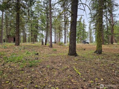 0 Muledeer Road , East Wenatchee, WA 98802 - Photo 21