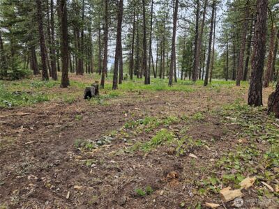 0 Muledeer Road , East Wenatchee, WA 98802 - Photo 24