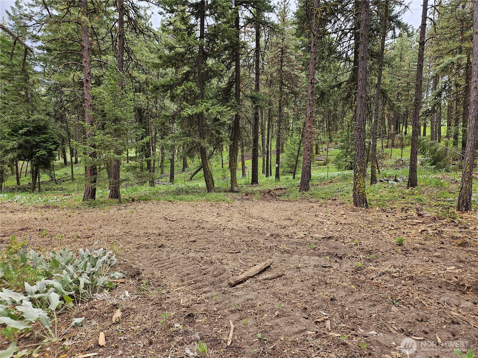 0 Muledeer Road , East Wenatchee, WA 98802