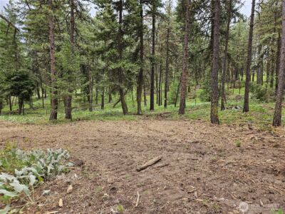 0 Muledeer Road , East Wenatchee, WA 98802 - Photo 25