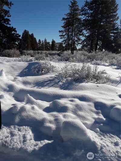 0 Muledeer Road , East Wenatchee, WA 98802 - Photo 3