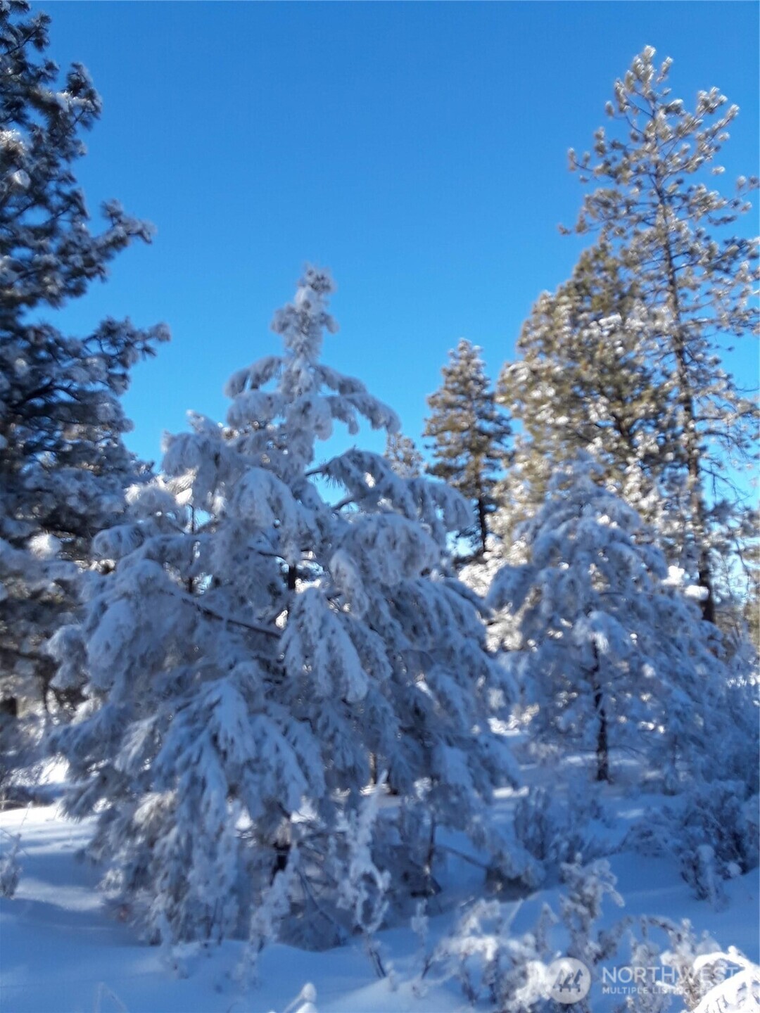 0 Muledeer Road , East Wenatchee, WA 98802