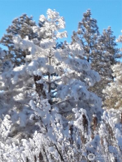 0 Muledeer Road , East Wenatchee, WA 98802 - Photo 5