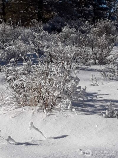 0 Muledeer Road , East Wenatchee, WA 98802 - Photo 7