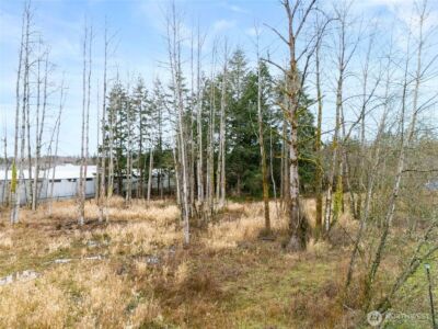 10510 & 10514 Golden Given Road E, Tacoma, WA 98445 - Photo 4