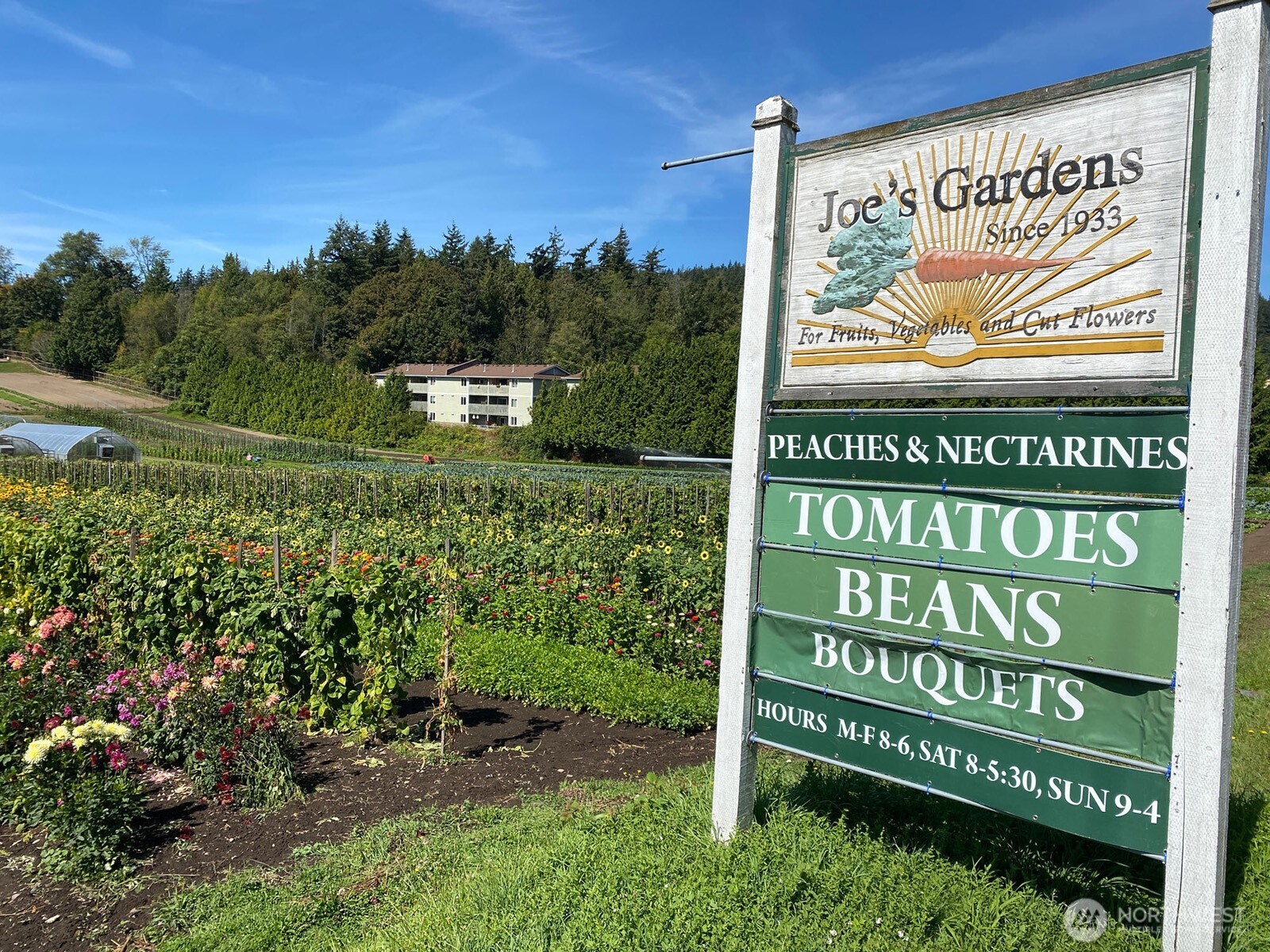 820 32nd Street , Bellingham, WA 98225-6523