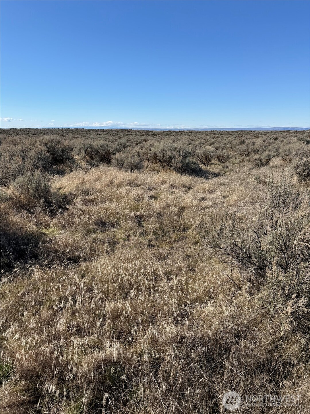 225 Eagle Springs Ranch , Wilson Creek, WA 98860