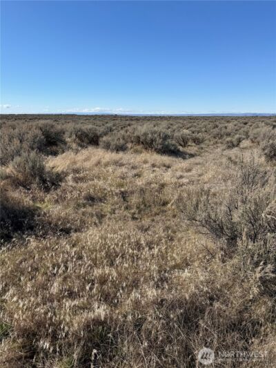 225 Eagle Springs Ranch , Wilson Creek, WA 98860 - Photo 2