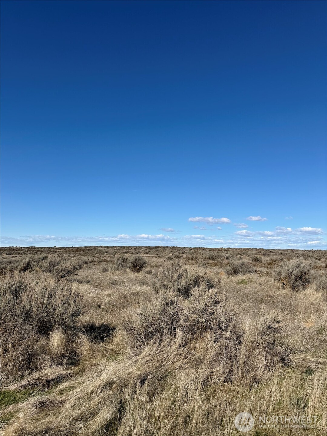 225 Eagle Springs Ranch , Wilson Creek, WA 98860